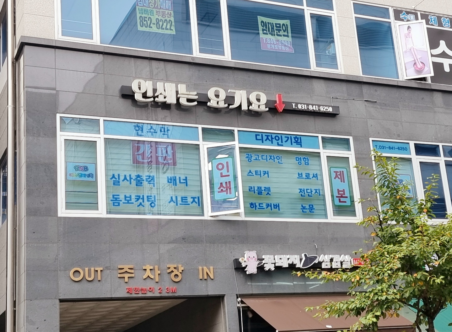 2049928719_NXIkt8gR_0d68942dda848e3c776e6f82fb83c1cb0e1bc5ad.jpg 이미지크게보기